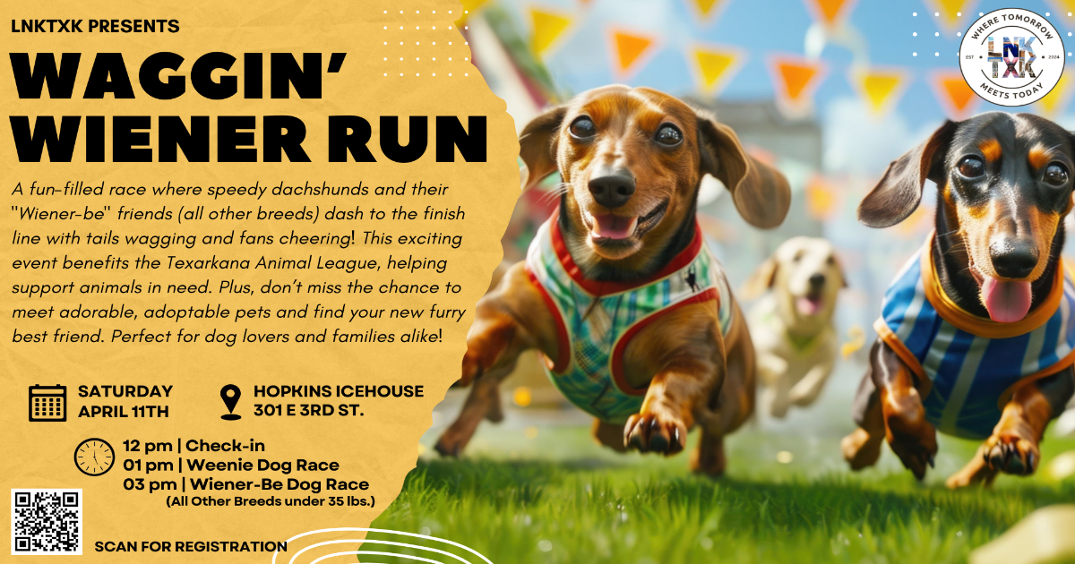 Flyer for the Waggin' Wiener Run presented by LNKTXK, a dachshund and small dog race benefiting the Texarkana Animal League.