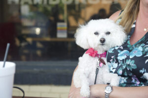A woman holding a small white fluffy dog wearing a pink bow collar outside a shop in Texarkana Arkansas.