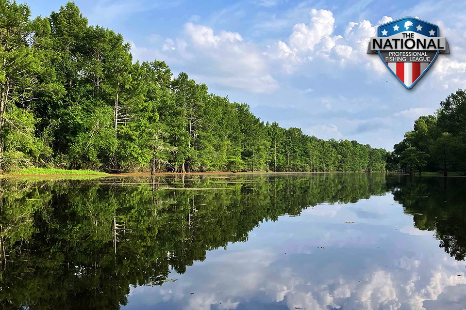 Millwood Lake calm water with trees reflecting during NPFL fishing tournament near Texarkana